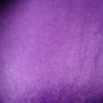 Peer Gynt Slim Leg Pants